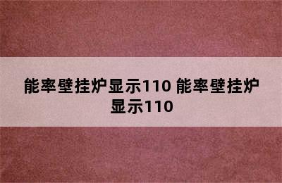 能率壁挂炉显示110 能率壁挂炉显示110